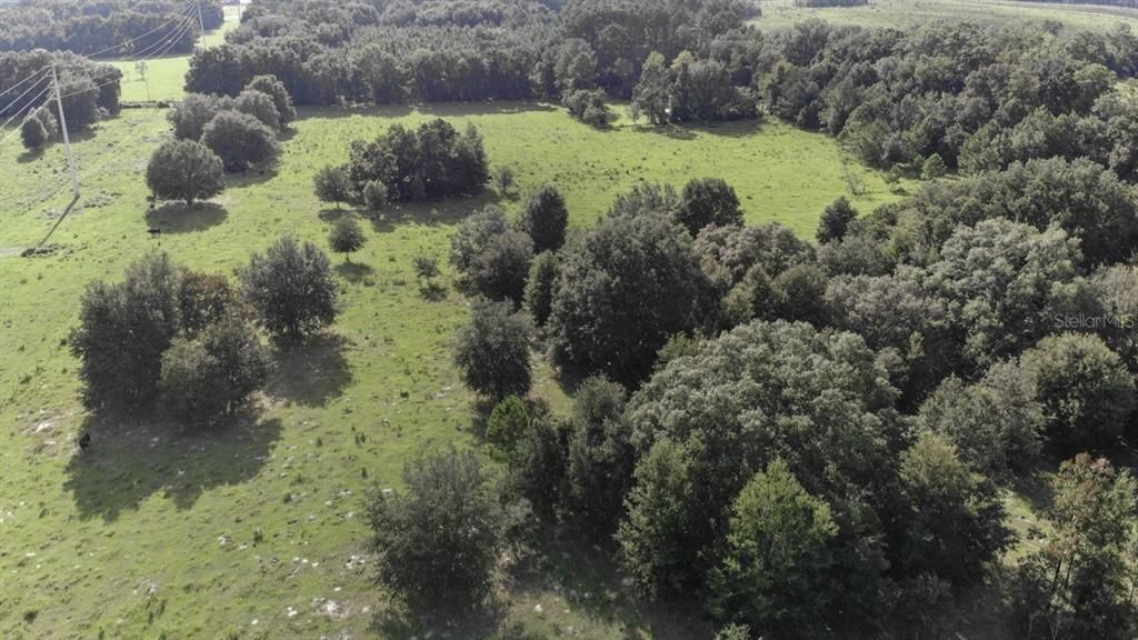 Недавно продано: $130,000 (15.00 acres)