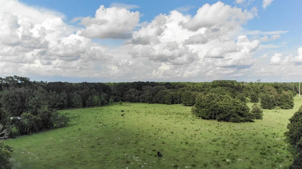 Vendido Recientemente: $130,000 (15.00 acres)