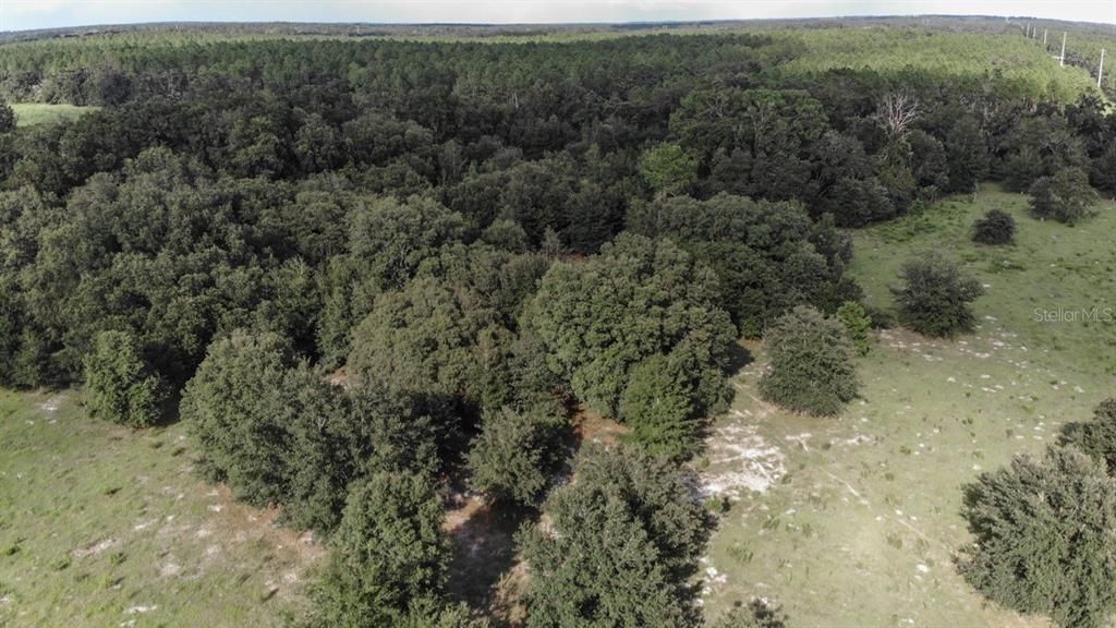 Recently Sold: $130,000 (15.00 acres)