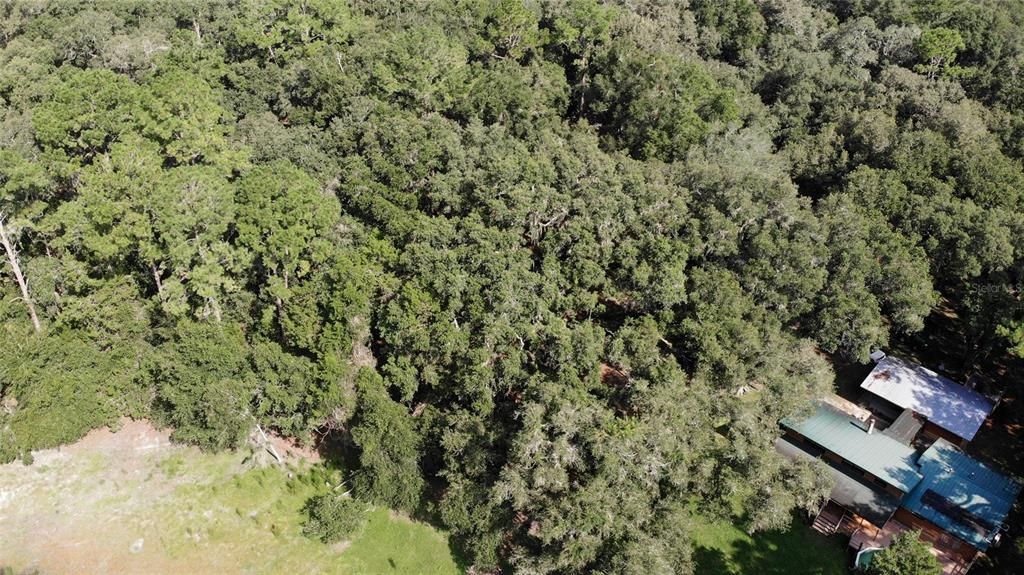 Недавно продано: $529,900 (3 спален, 2 ванн, 1580 Квадратных фут)