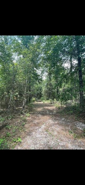Recently Sold: $55,000 (5.01 acres)