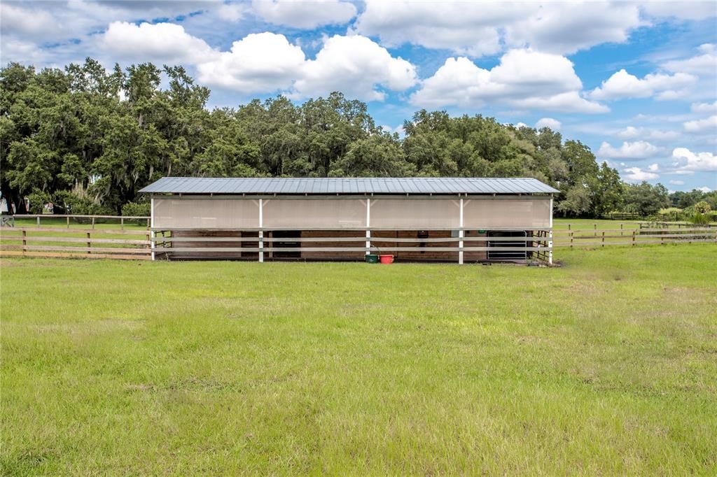 Screened Privacy 4 Stall Horse Barn