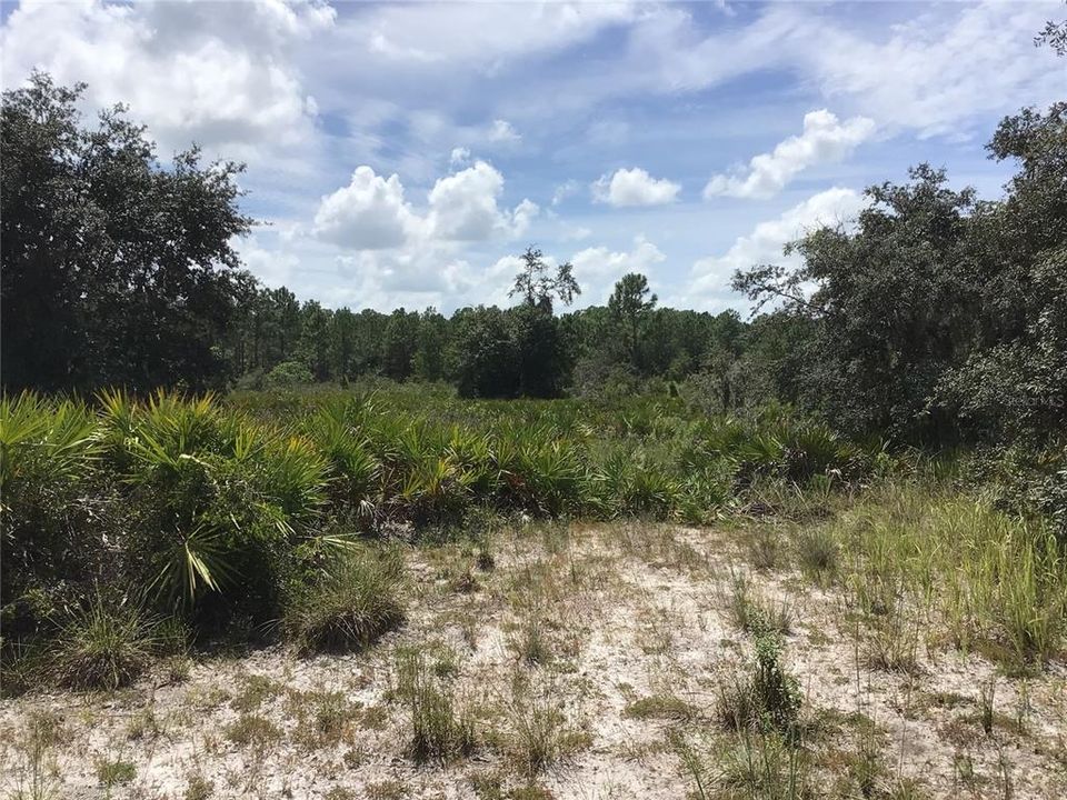 Recently Sold: $139,000 (5.21 acres)