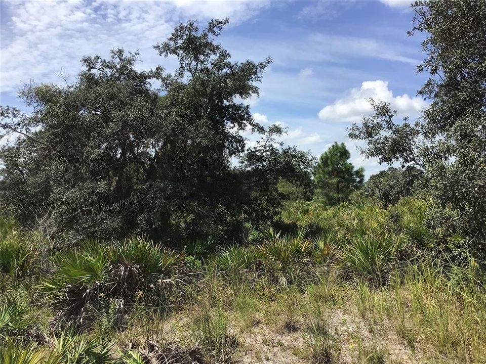 Recently Sold: $139,000 (5.21 acres)