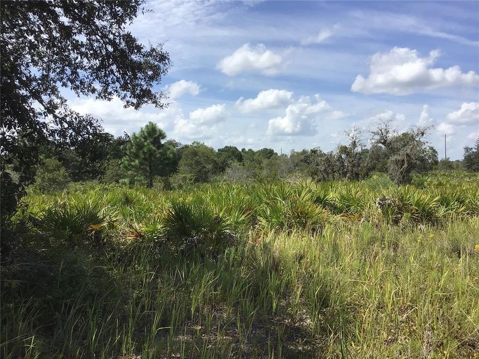 Recently Sold: $139,000 (5.21 acres)