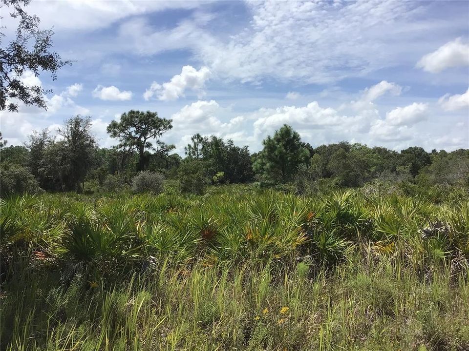 Recently Sold: $139,000 (5.21 acres)