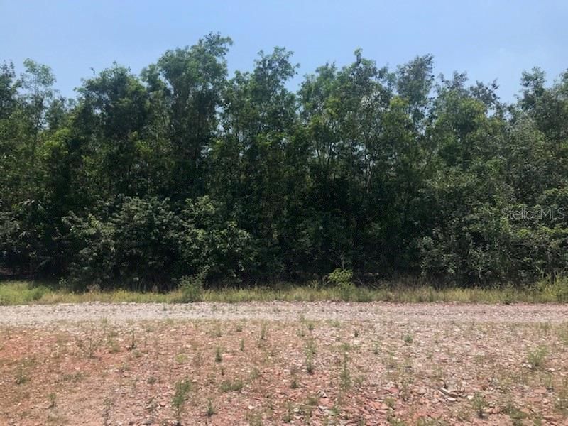 最近售出: $150,000 (5.26 acres)