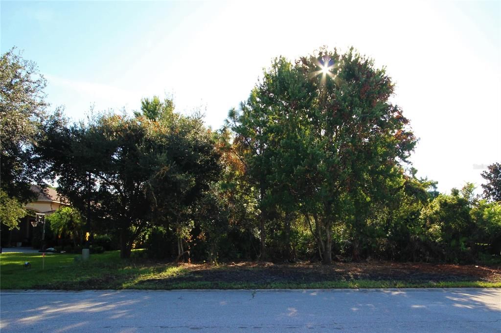 Front of the lot in Mill Creek