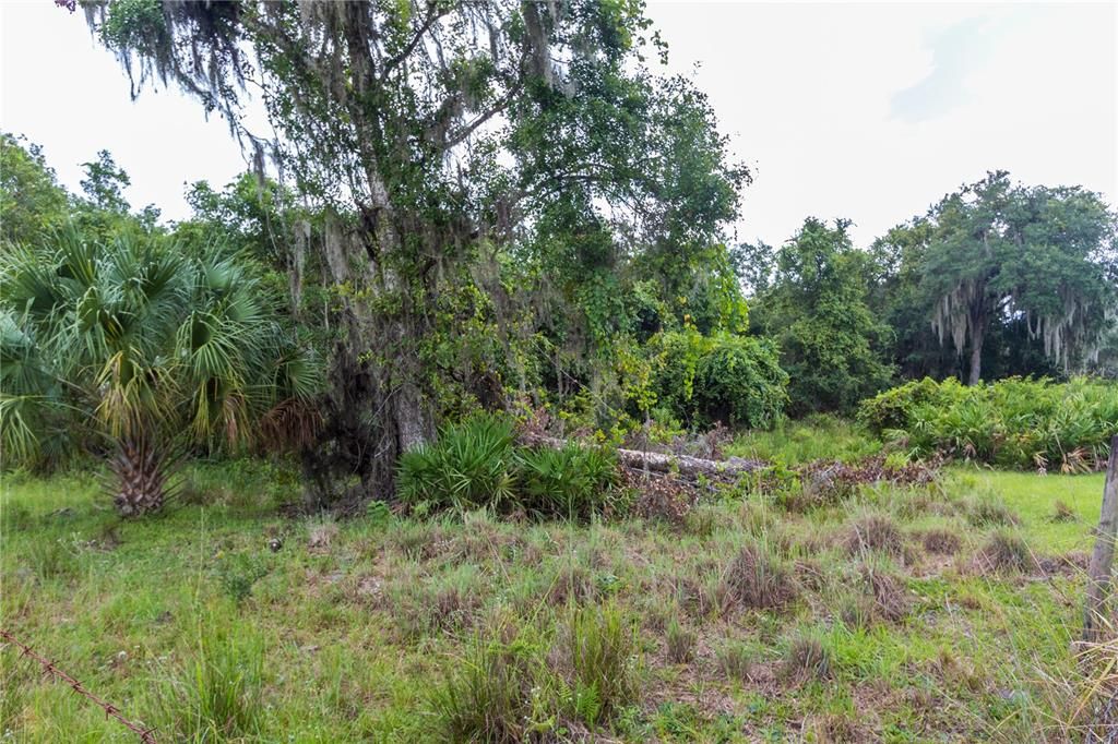 Recently Sold: $50,000 (5.04 acres)