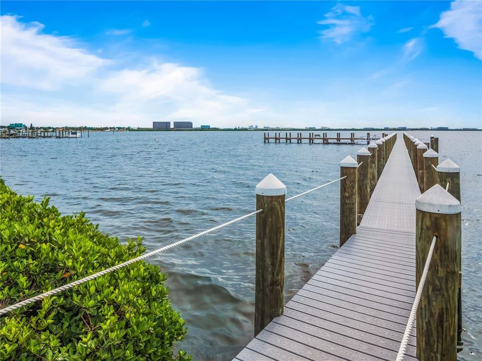 Dock on Tampa Bay to launch your kayak, boat or paddleboards! Enjoy beautiful views and watch the dolphins and manatee. Florida living at it's best!