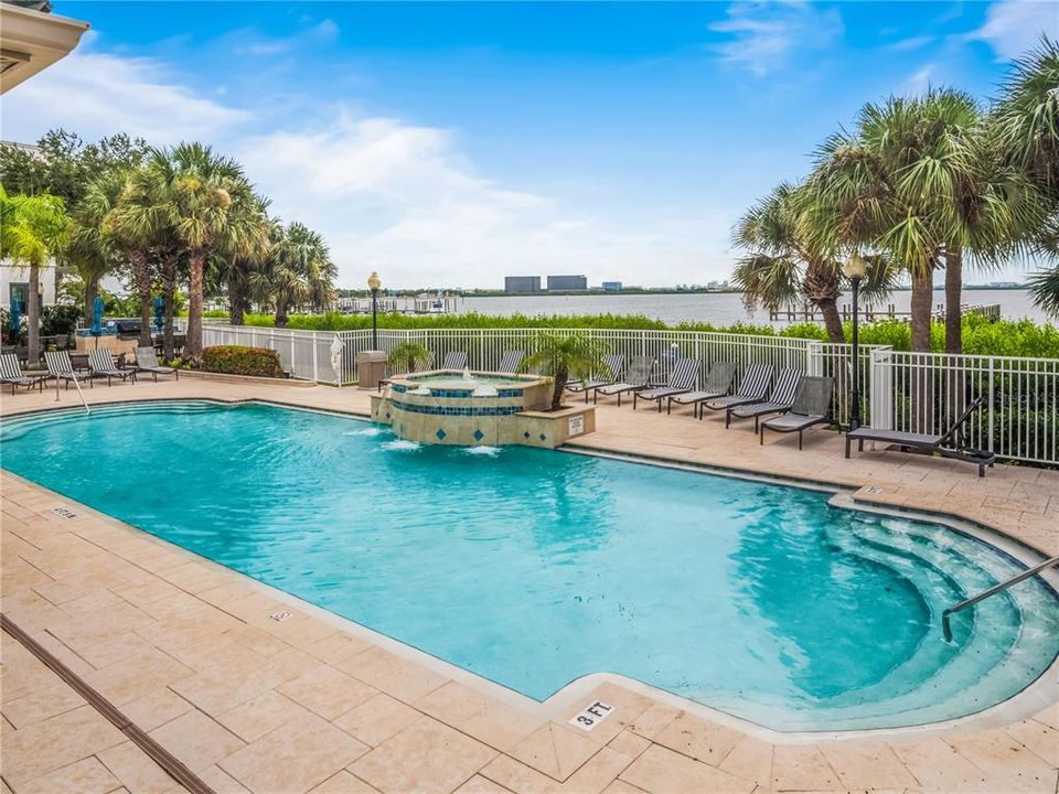 Look at that view!!! Fabulous heated pool overlooking beautiful Tampa Bay. Feel like your are on vacation year round! There is a spa in the pool and a separate hot tub, tables and and BBQ pit.