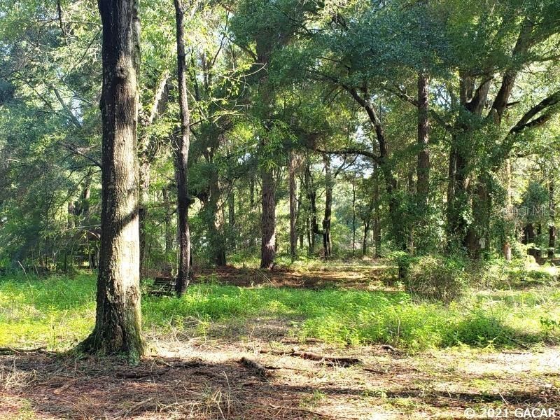 Vendido Recientemente: $54,900 (5.69 acres)