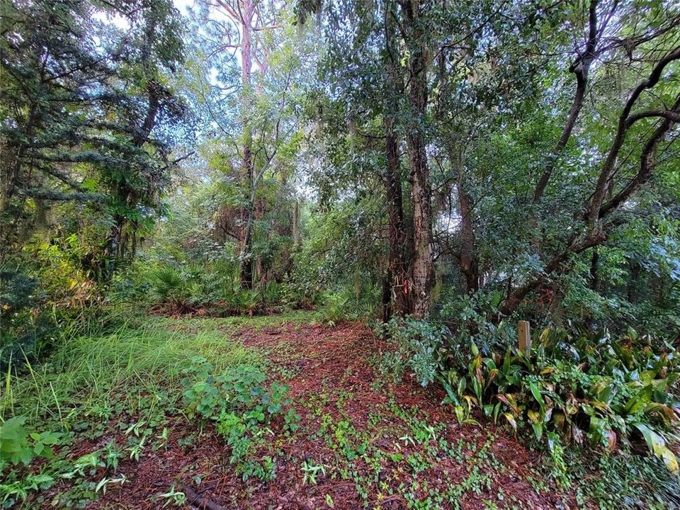 Recently Sold: $415,000 (1.02 acres)