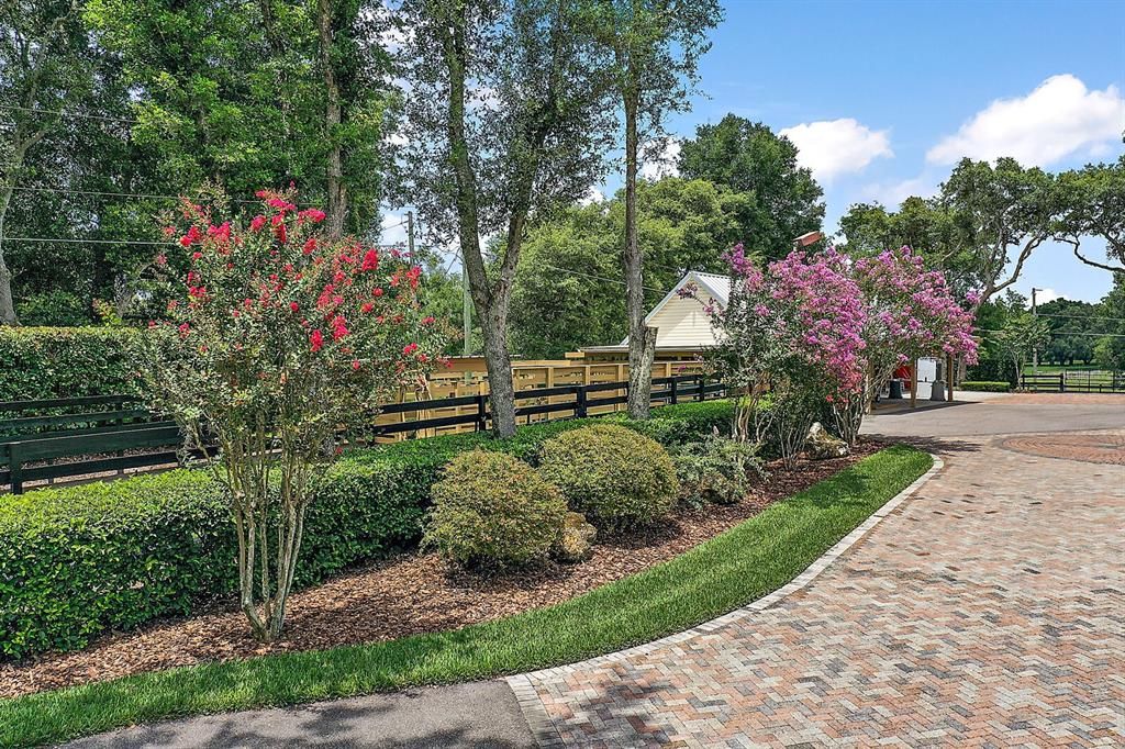 Beautiful Landscaping and Mature Trees Grace This Property.