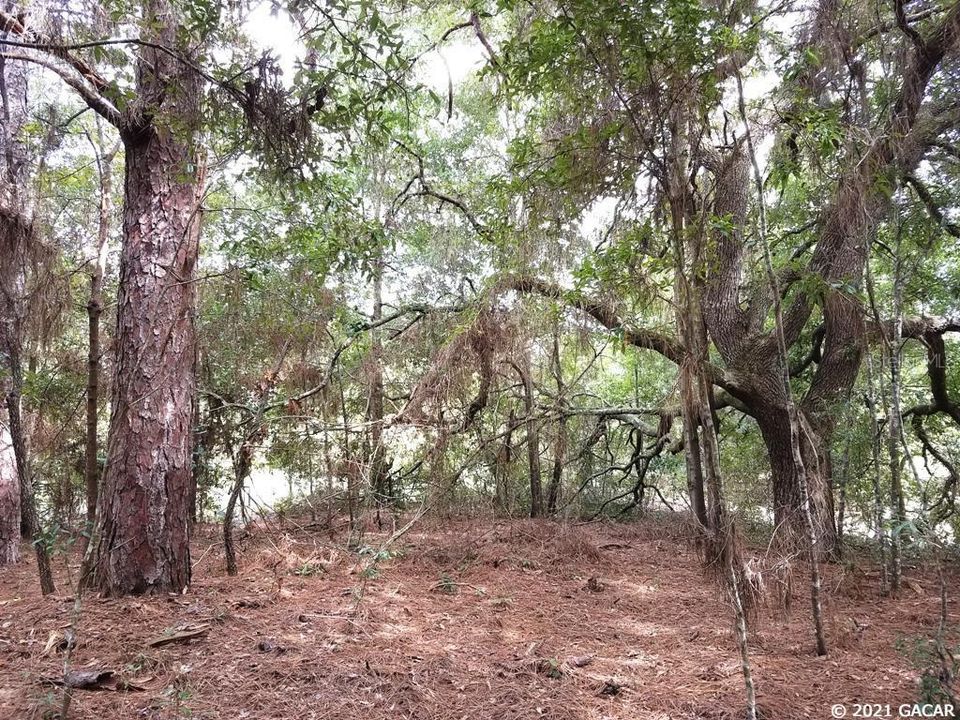 Vendido Recientemente: $78,900 (4.80 acres)