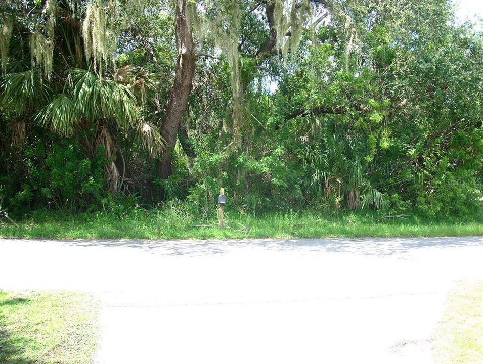 Недавно продано: $22,000 (0.30 acres)