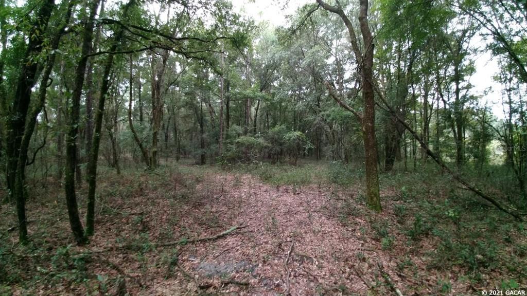 Vendido Recientemente: $124,900 (15.10 acres)