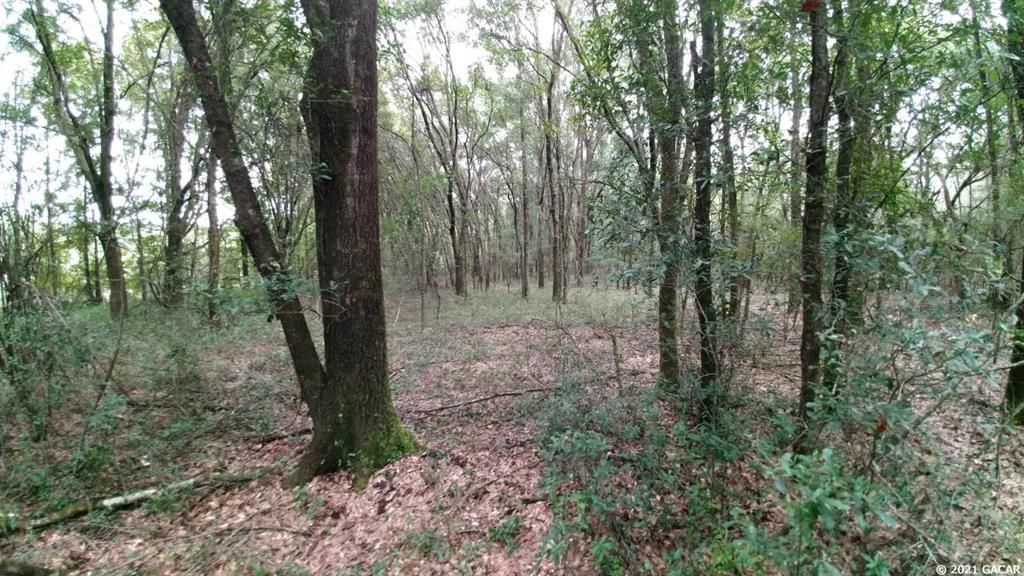 Recently Sold: $124,900 (15.10 acres)