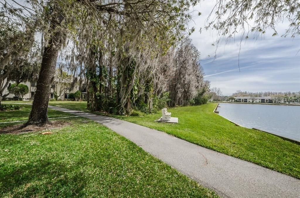 View of Lake from 3 Bedrooms and Front Door