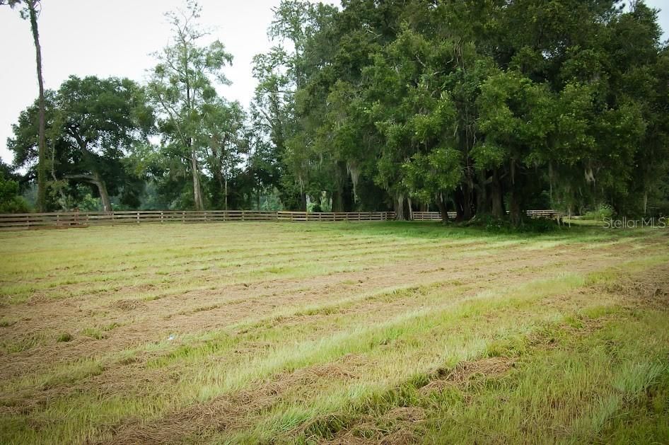 INSIDE FRONT PADDOCK LEFT