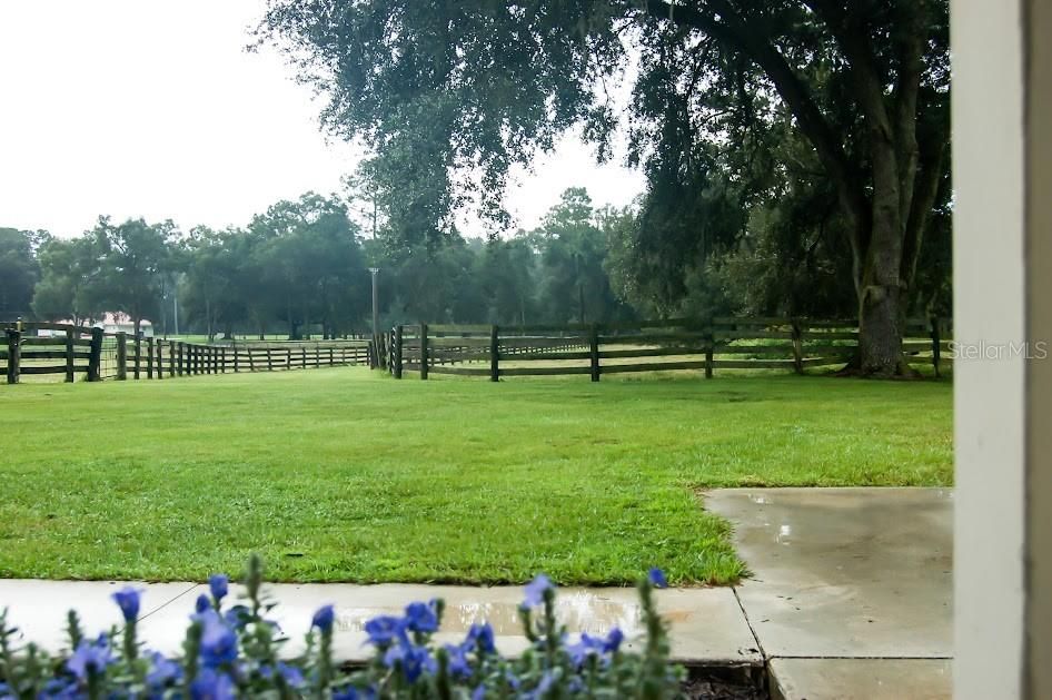 VIEW FROM FRONT PORCH