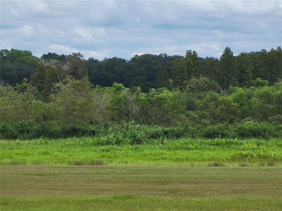 Недавно продано: $349,000 (3.06 acres)