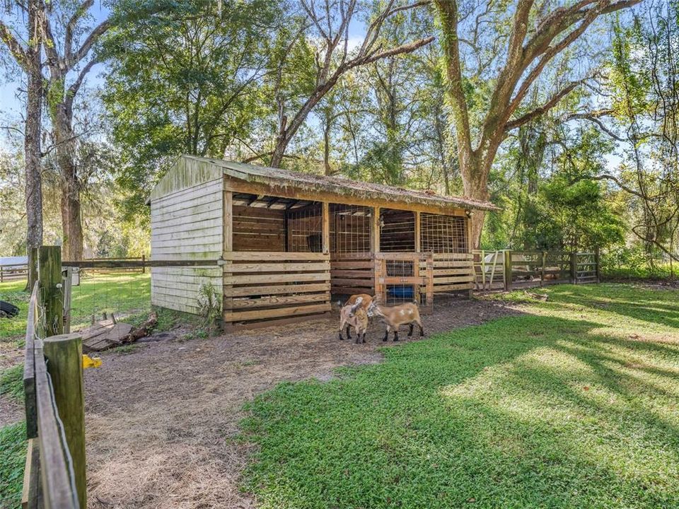 2 horse stalls