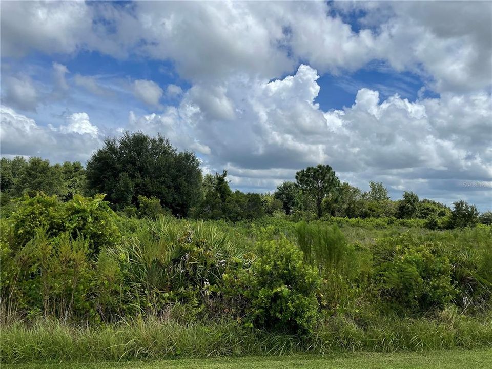 Recently Sold: $16,000 (0.60 acres)