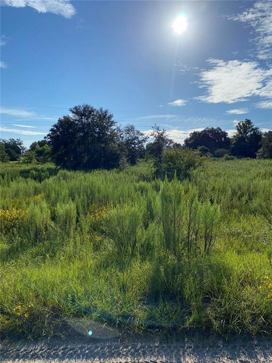 Recently Sold: $82,500 (3.05 acres)