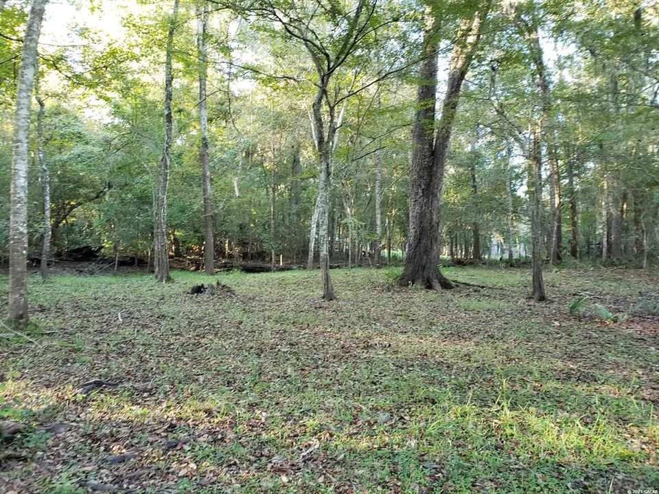 Recently Sold: $299,500 (5.03 acres)