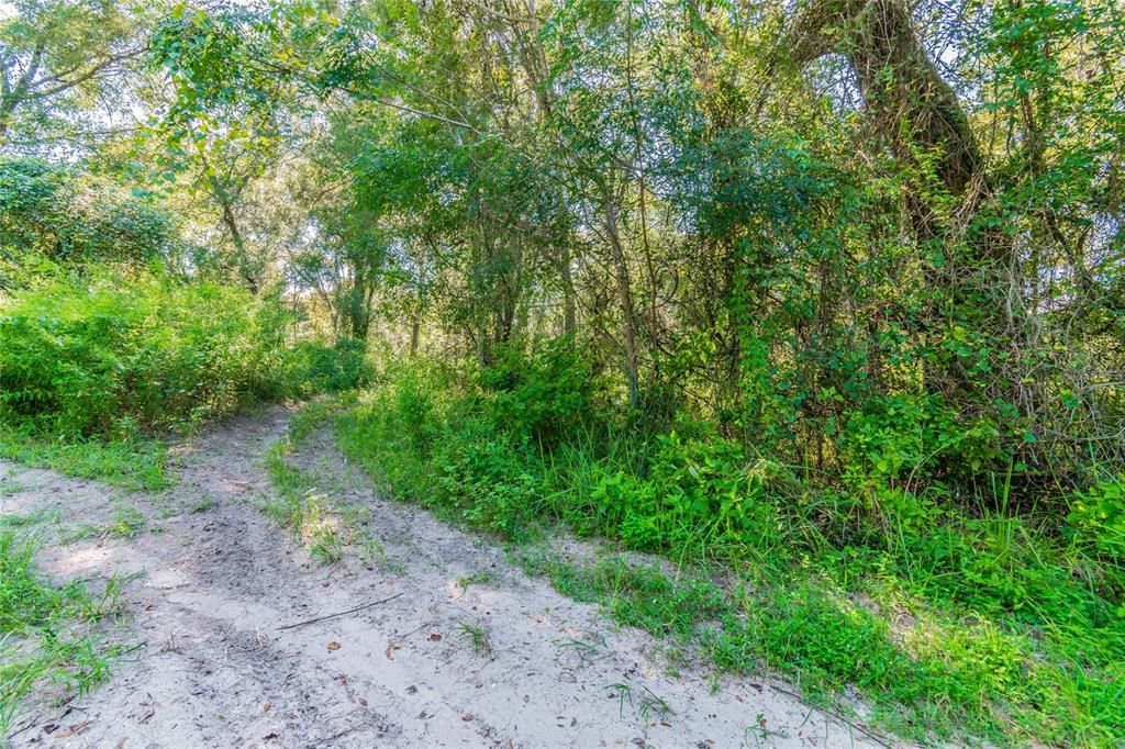Recently Sold: $47,000 (3.60 acres)