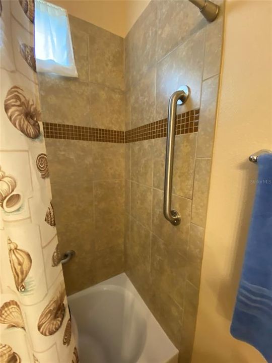 2nd Bathroom Tub with Shower & Listello Tile Accents