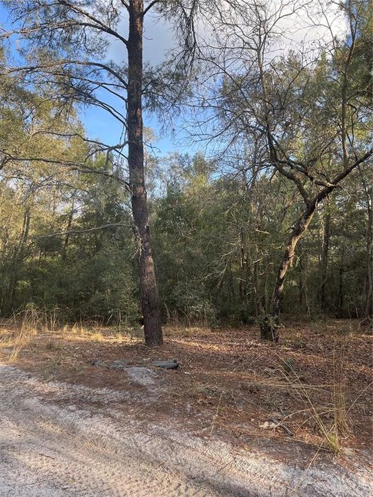 Recently Sold: $9,000 (0.23 acres)