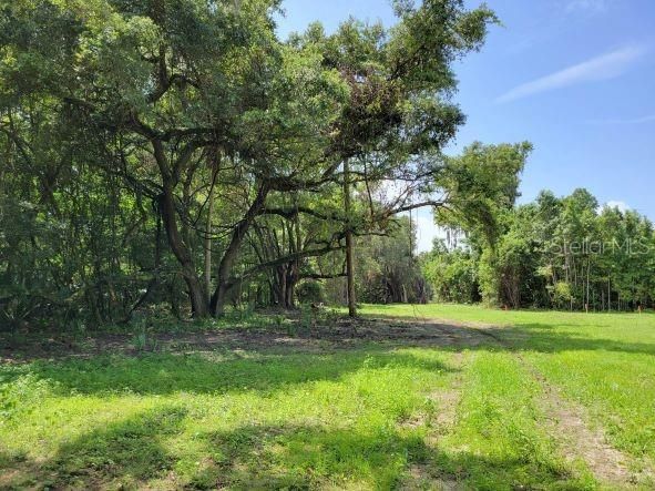 Recently Sold: $144,900 (10.00 acres)