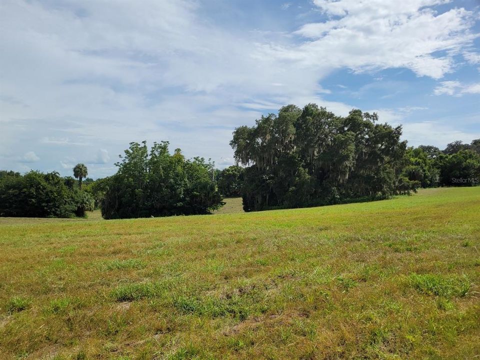 Recently Sold: $134,900 (10.00 acres)