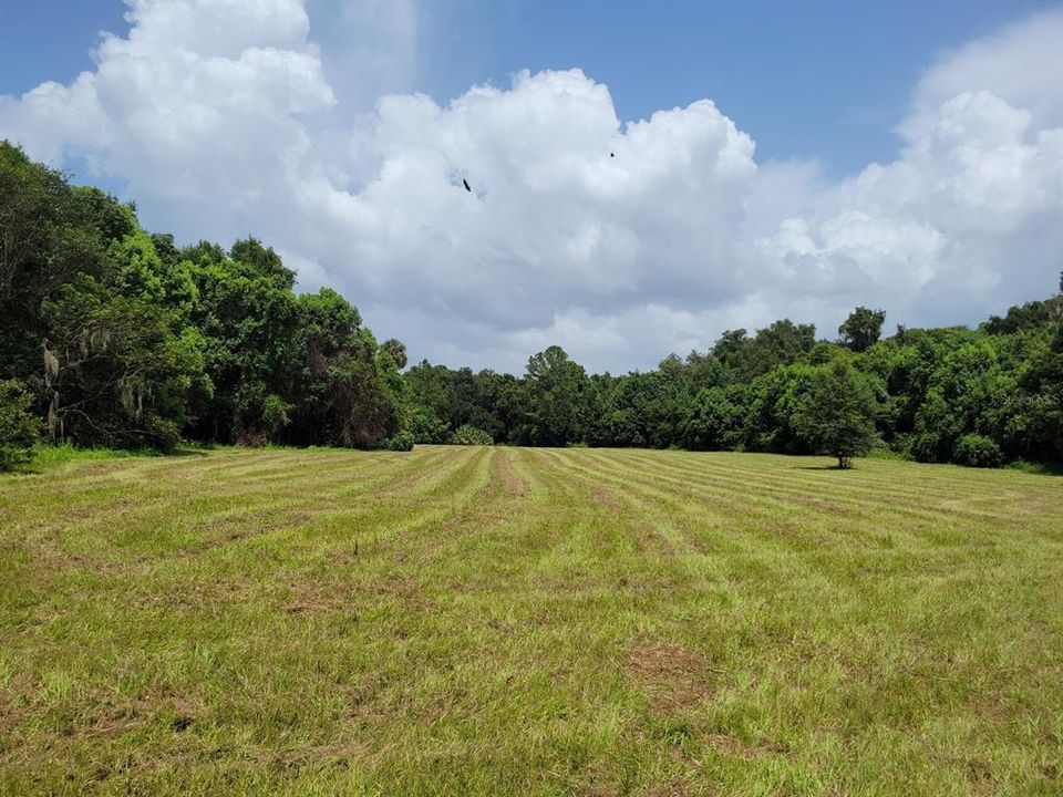 Recently Sold: $134,900 (10.00 acres)