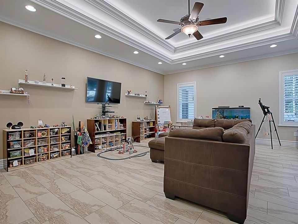 CROWN MOLDING, A TRAY CEILING AND SPACE GALORE IN THIS FANTASTIC FAMILY/MEDIA ROOM!