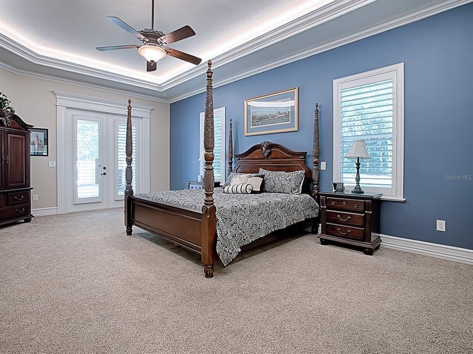 THE MASTER BEDROOM HAS A TRAY CEILING, CARPET, CROWN MOLDING AND FRENCH DOORS THAT LEAD TO THE OUTSIDE!
