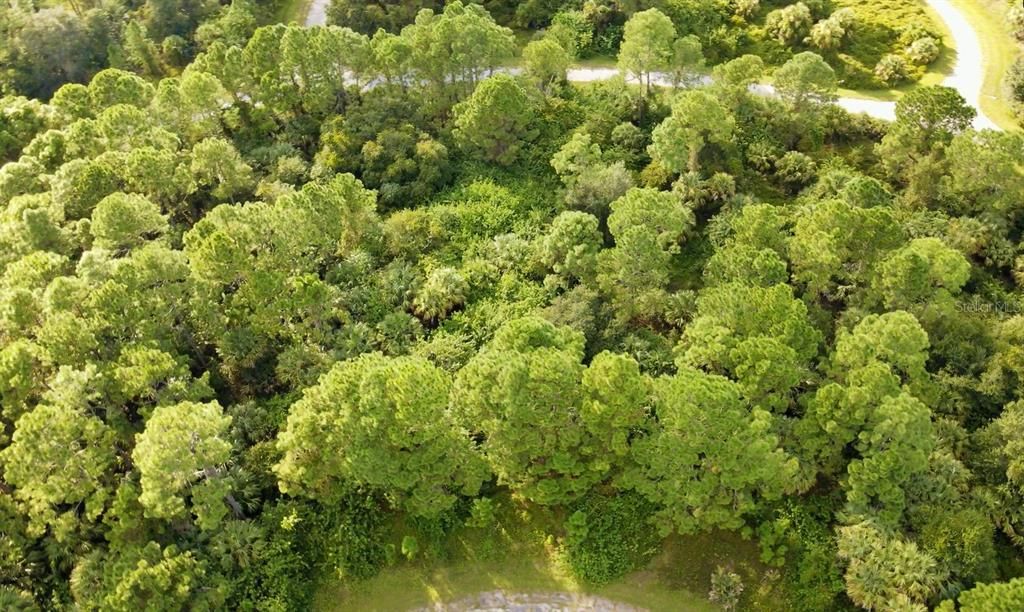 Recently Sold: $9,000 (0.24 acres)