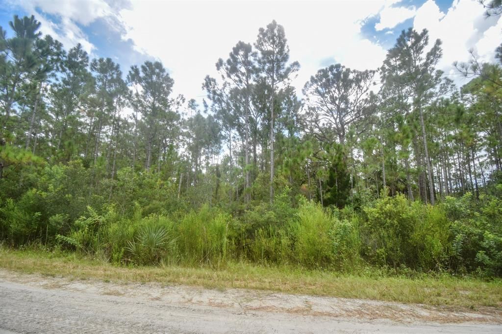Recently Sold: $160,000 (5.46 acres)