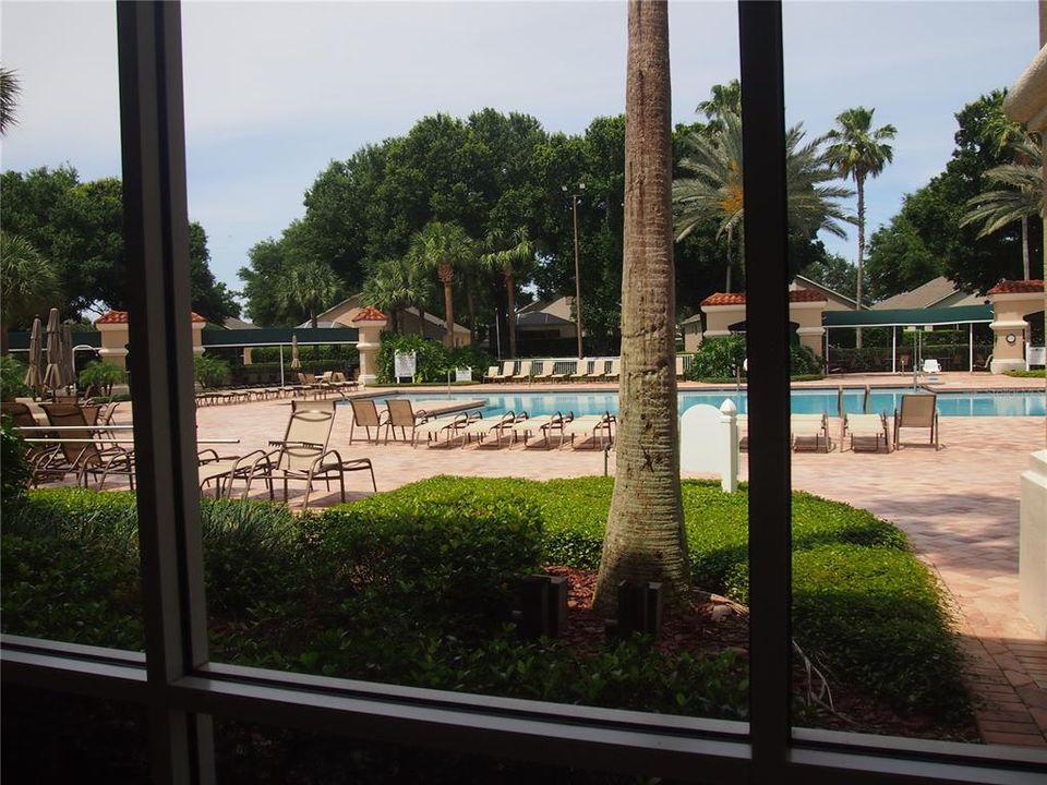 Main clubhouse pool