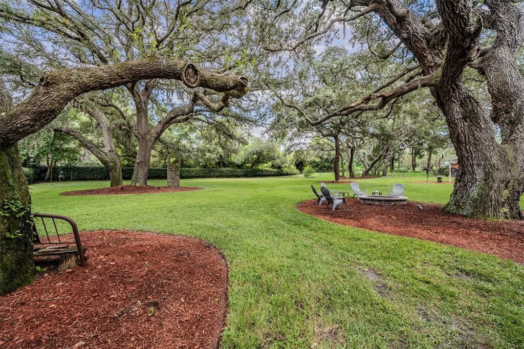 Gorgeous trees provide a serene setting in the back yard