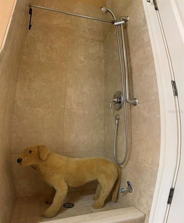 Dog shower inside of laundry room