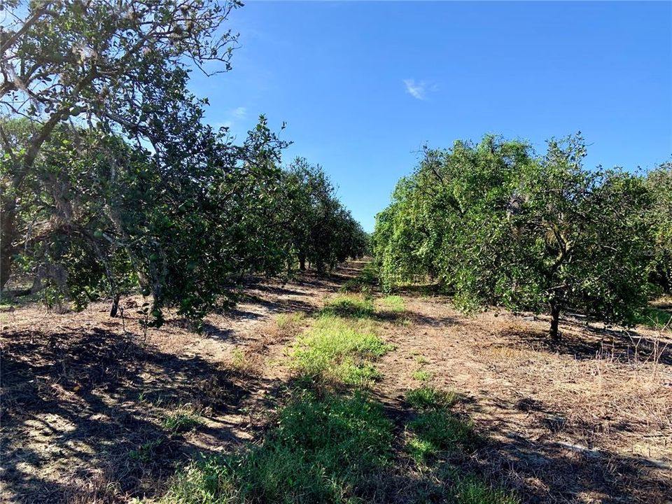 Recently Sold: $310,000 (20.00 acres)