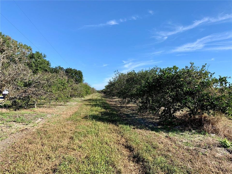Recently Sold: $310,000 (20.00 acres)