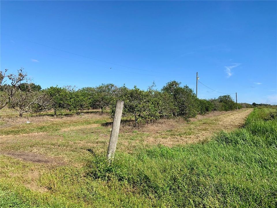 Recently Sold: $310,000 (20.00 acres)