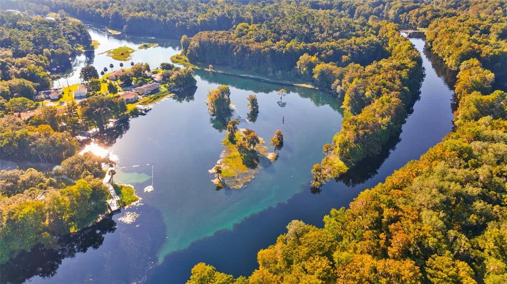 Gorgeous Withlacoochee River