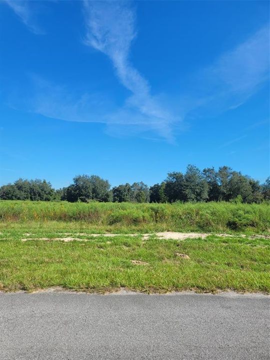 Recently Sold: $22,500 (0.23 acres)