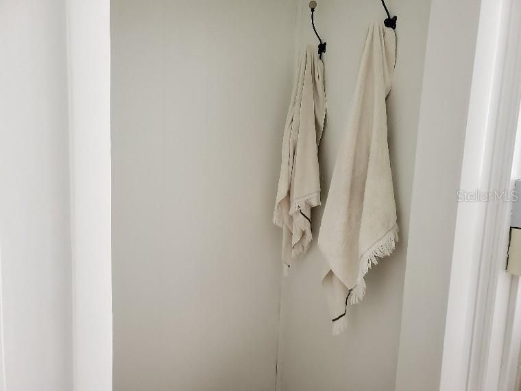 Bathroom closet