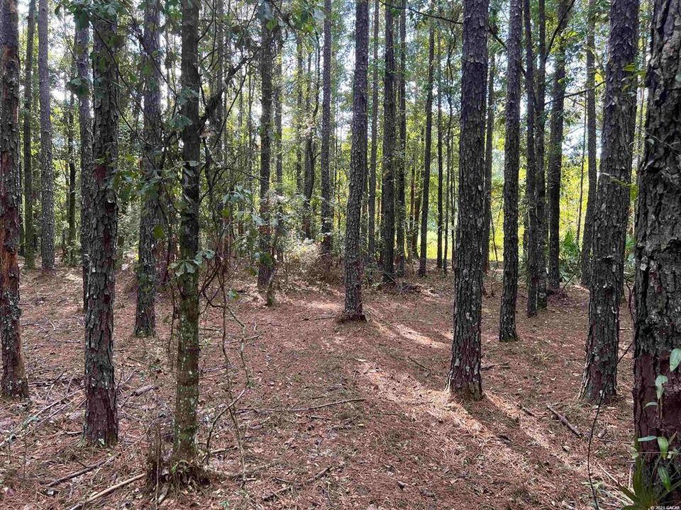 Recently Sold: $54,000 (6.00 acres)
